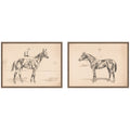 Portrait of Race Horse And Mounted Jockey 2 Piece Framed Canvas Wall Art Set by Nostalgia Prints