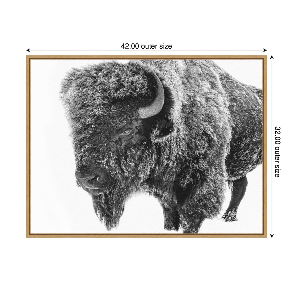 Bison in Snow Black and White by Amy Peterson Framed Canvas Wall Art Print