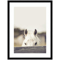 Equine Crop by Robert Cadloff Framed Wall Art Print