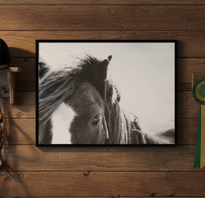 AA Noble by Alicia Abla Framed Wall Art Print
