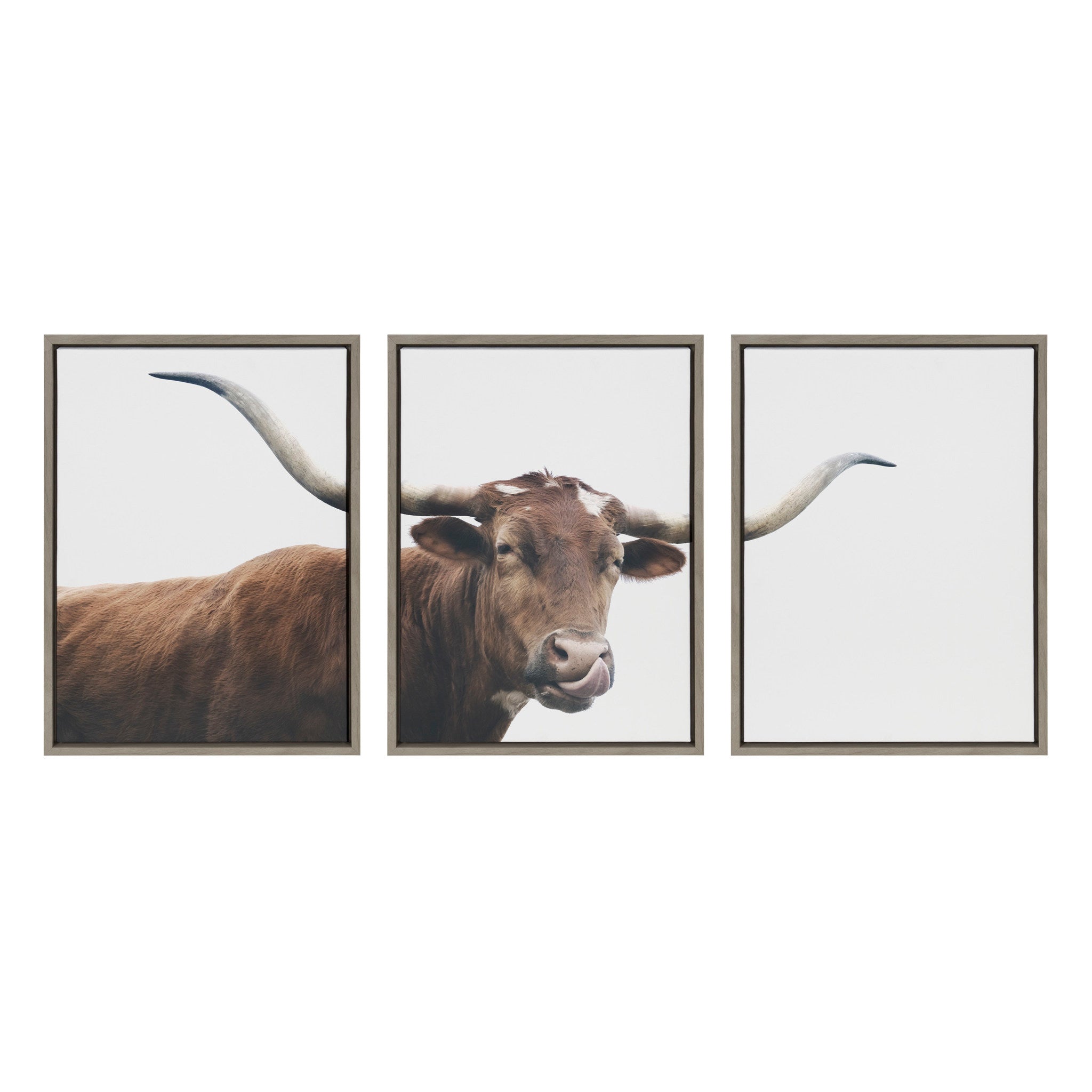 Texas Longhorn Cow Lick 3 Piece Framed Canvas by The Creative Bunch Studio