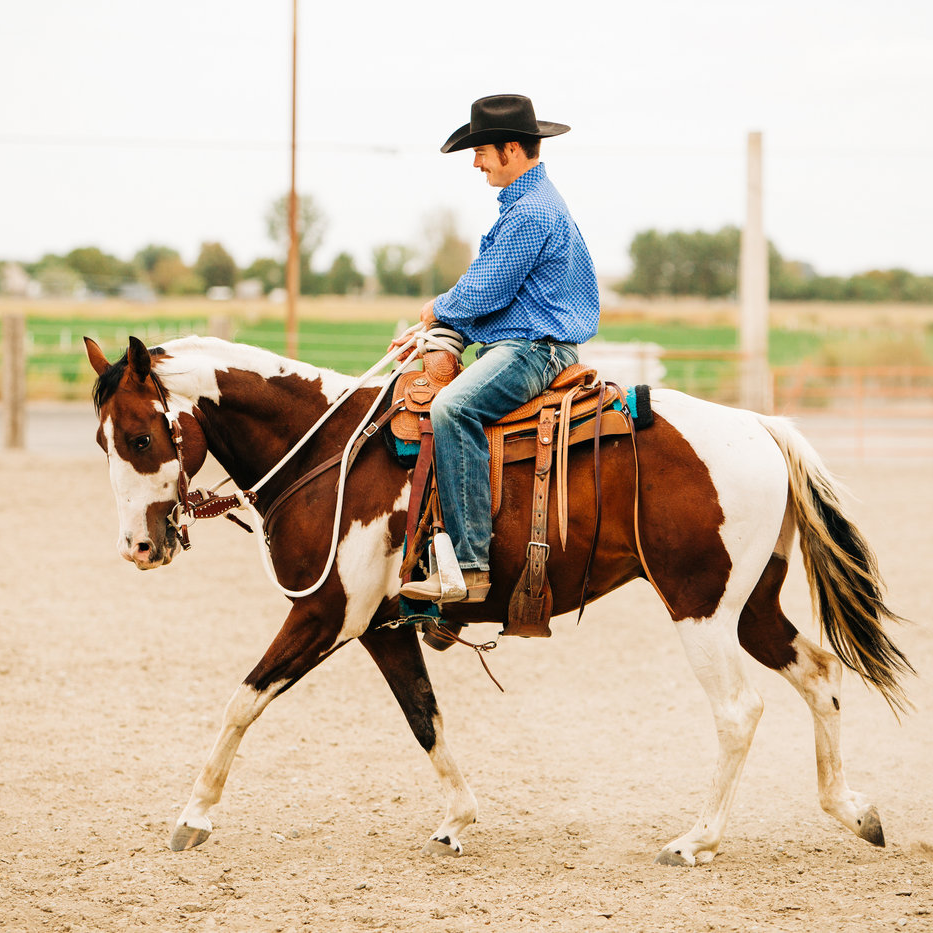 22 Ft Clinician Mecate Reins - 17 Colors!