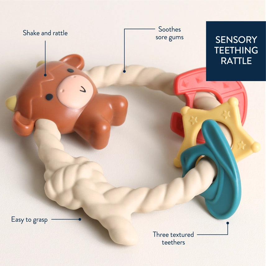 Highland Ritzy Rattle™ Silicone Teether