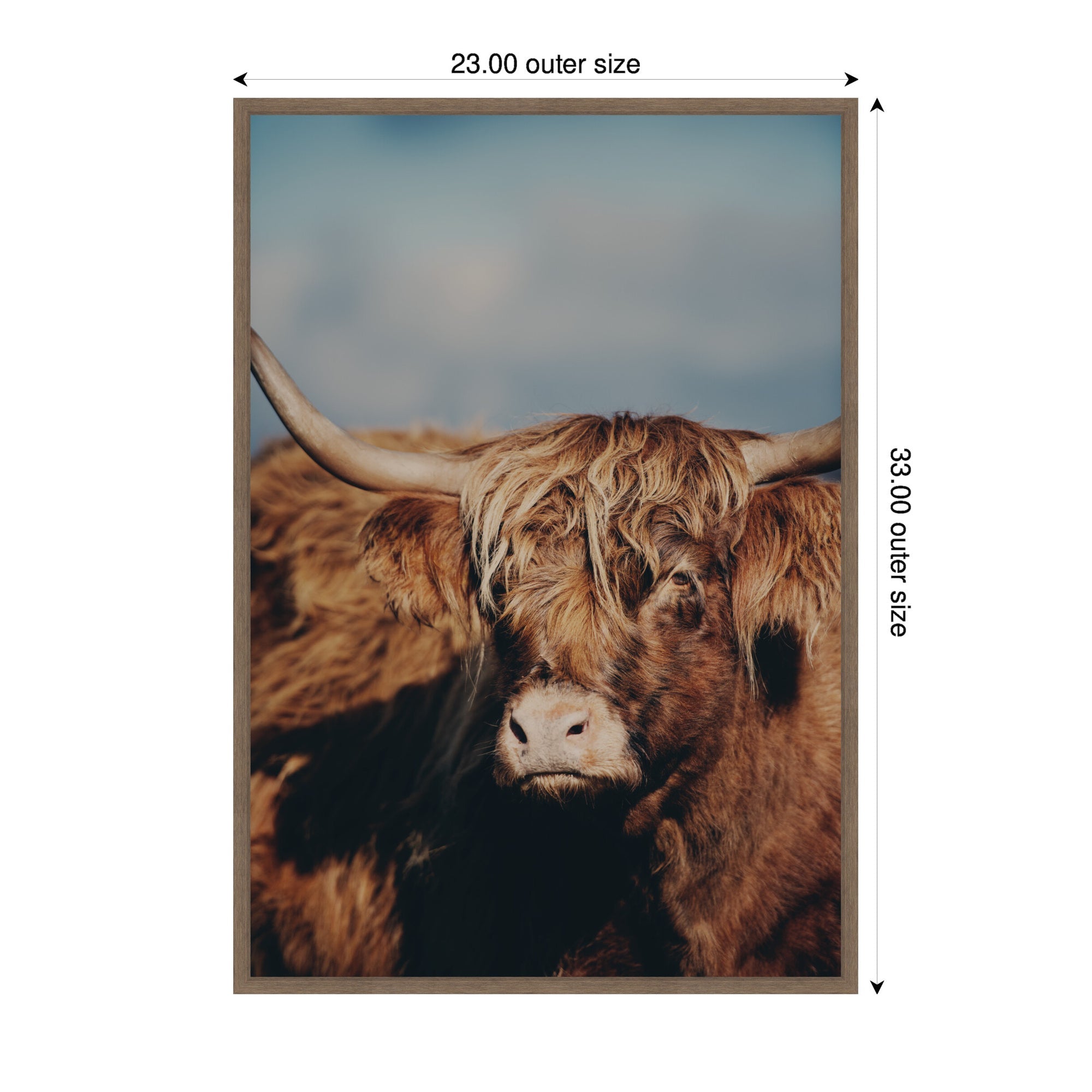 Highland Cow No. 5 by Laura Evans Framed Canvas Wall Art Print