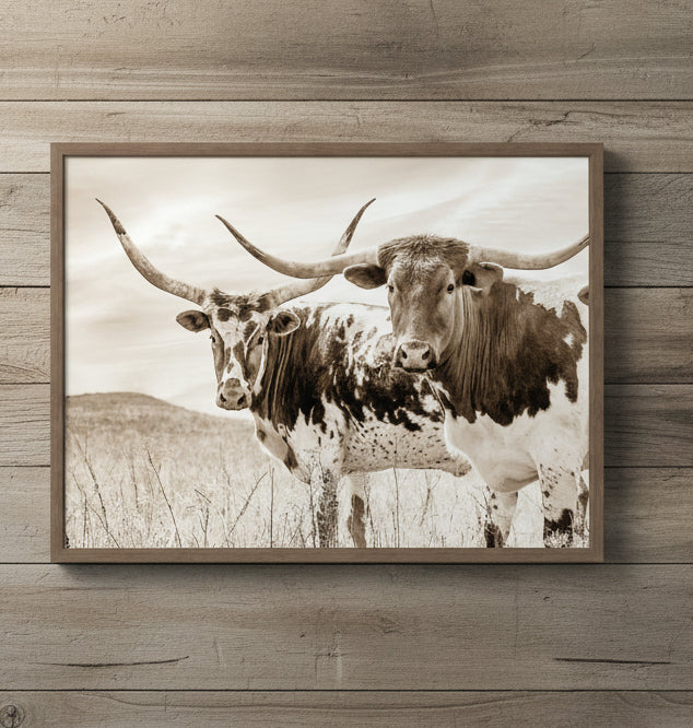 Sepia Texas Longhorn Cattle in Pasture by The Creative Bunch Studio Framed Canvas Wall Art Print