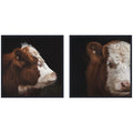 Cow Close 2 Piece Framed Canvas Wall Art Set by Emiko and Mark Franzen F2 Images