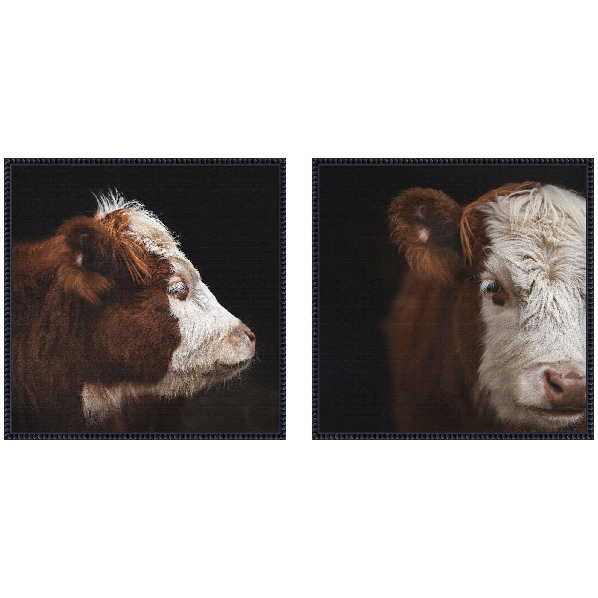 Cow Close 2 Piece Framed Canvas Wall Art Set by Emiko and Mark Franzen F2 Images