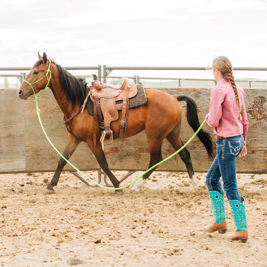 Stiff 4 Knot Clinician Training Halter - 10 Colors!