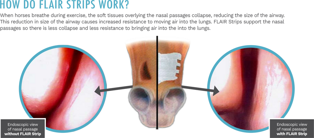 Achieve Equine Flair Strips -Red