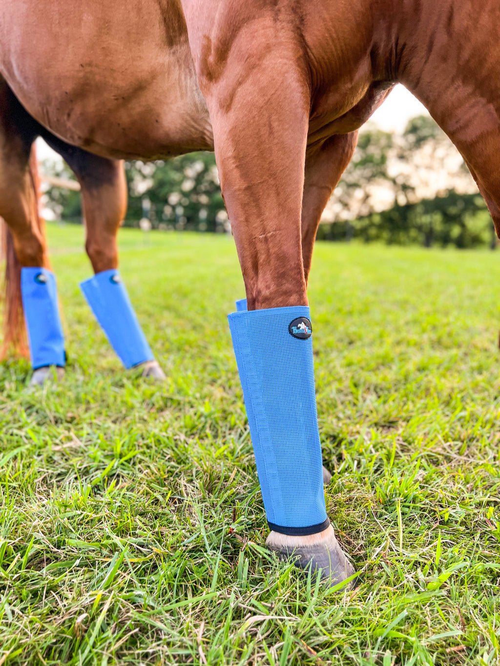 Hustle and Home Ocean Blue Fly Boots