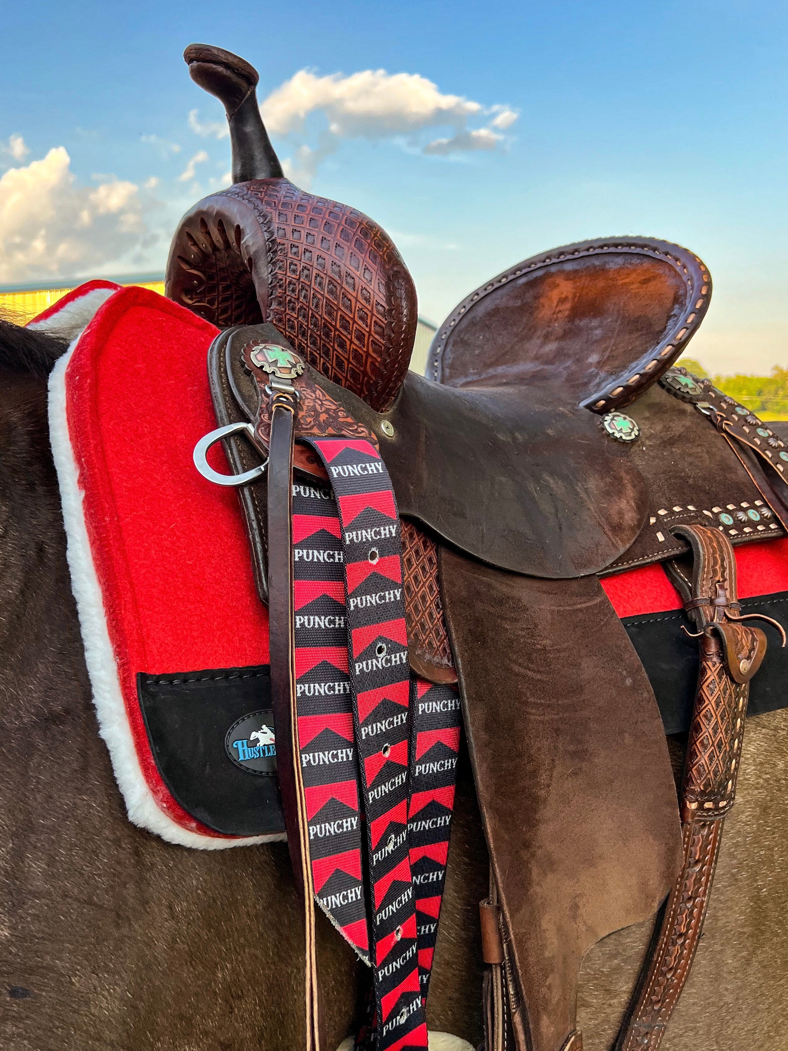Hustle and Home | Black Punchy Cinch Strap Set