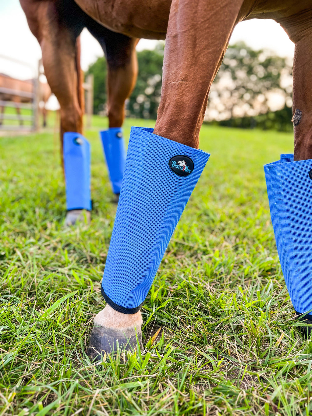 Hustle and Home Ocean Blue Fly Boots
