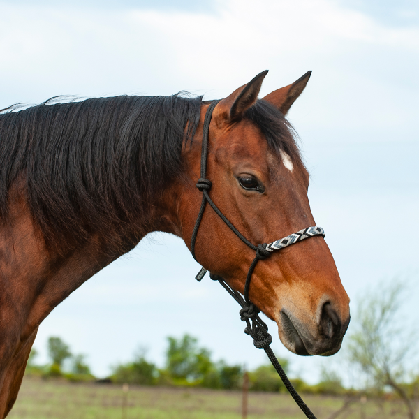 The Lacy Beaded Aztec Halter