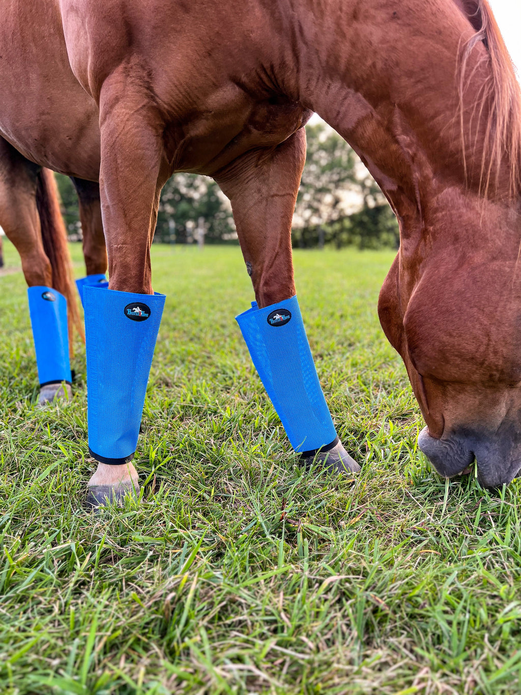 Hustle and Home Ocean Blue Fly Boots