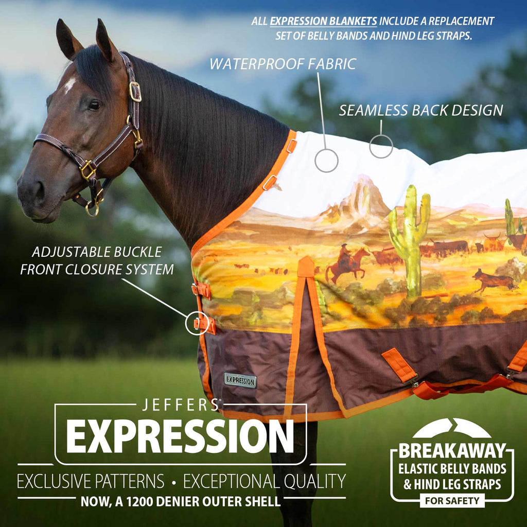 Jeffers Expression 1200 Denier Standard Neck Horse Turnout Sheet, 0 Gram - Pick Your Design!