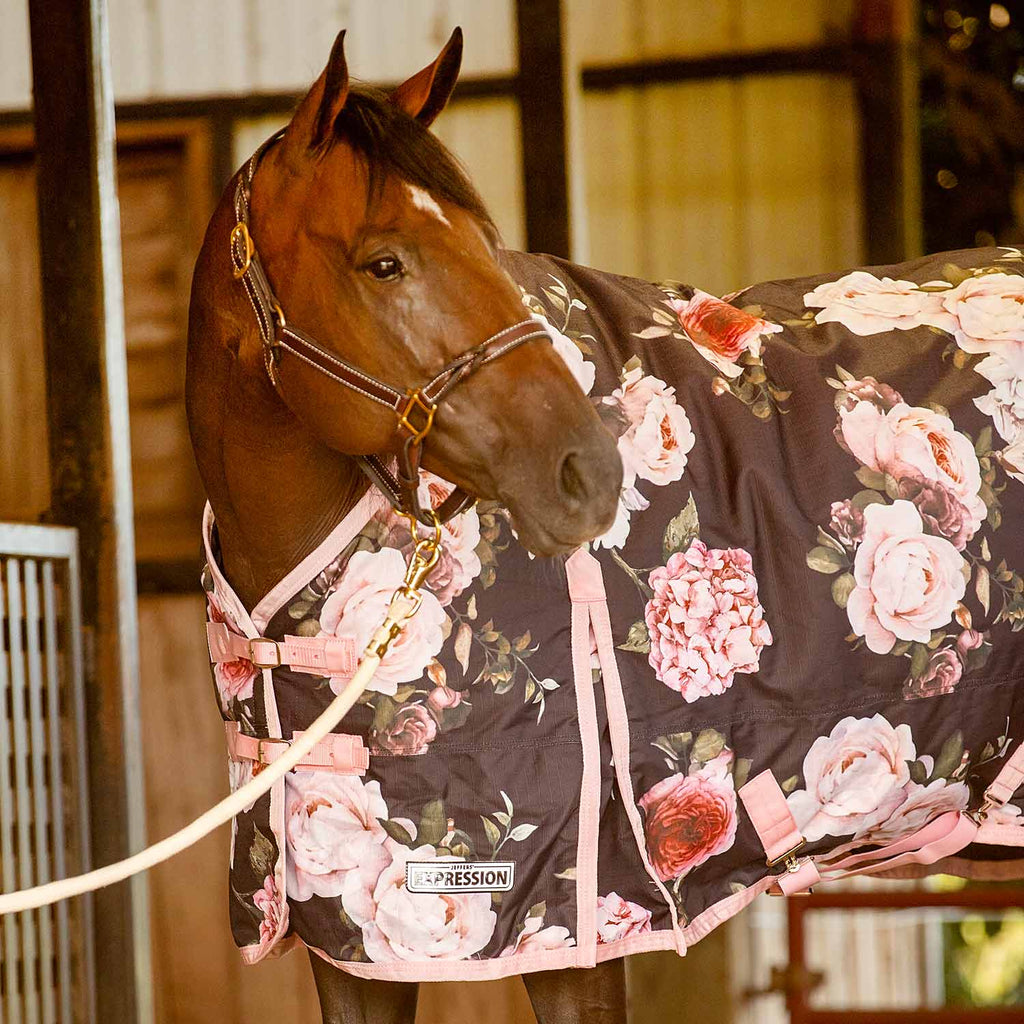 Jeffers Expression 1200 Denier Standard Neck Horse Turnout Sheet, 0 Gram - Pick Your Design!