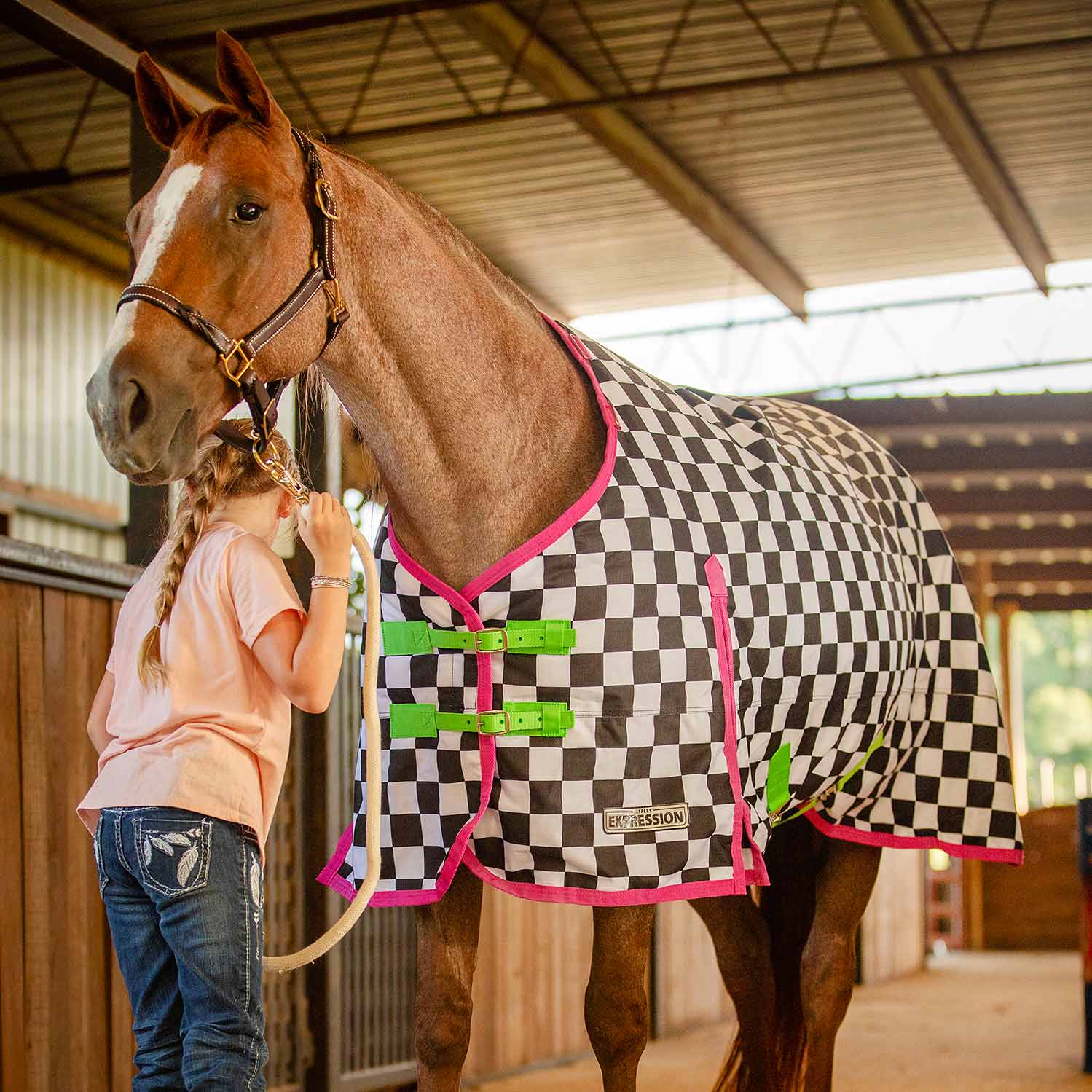 Jeffers Expression 1200 Denier Standard Neck Turnout Horse Blanket, 240 Gram - Pick Your Design!
