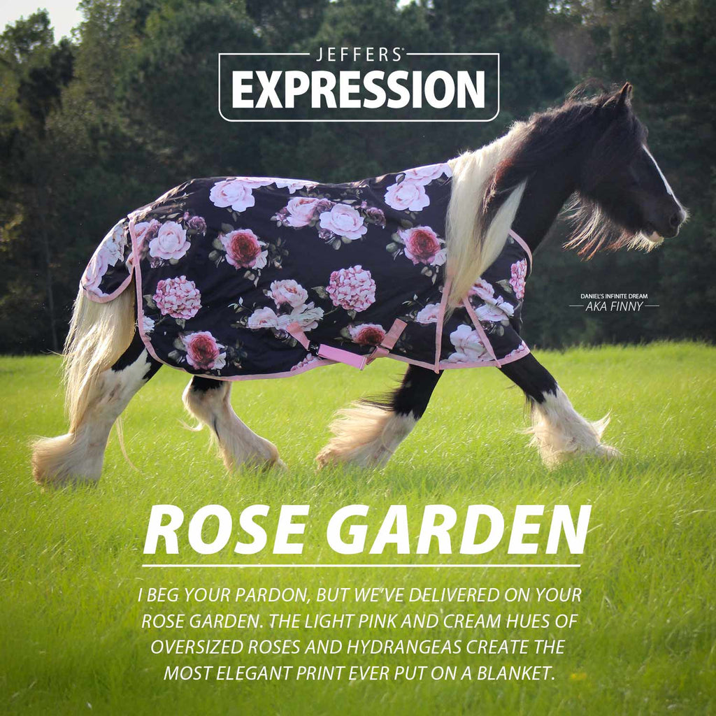 Jeffers Expression 1200 Denier Standard Neck Horse Turnout Sheet, 0 Gram - Pick Your Design!