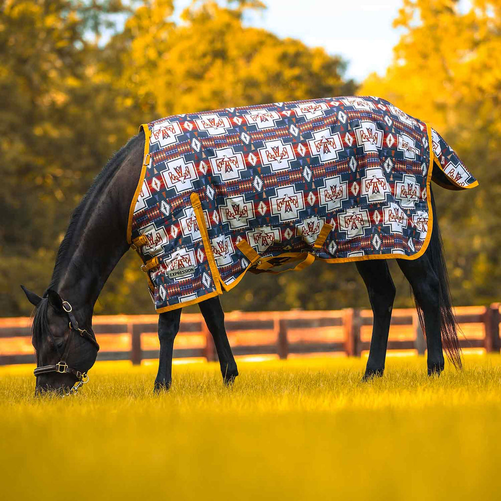 Jeffers Expression 1200 Denier Standard Neck Horse Turnout Sheet, 0 Gram - Pick Your Design!
