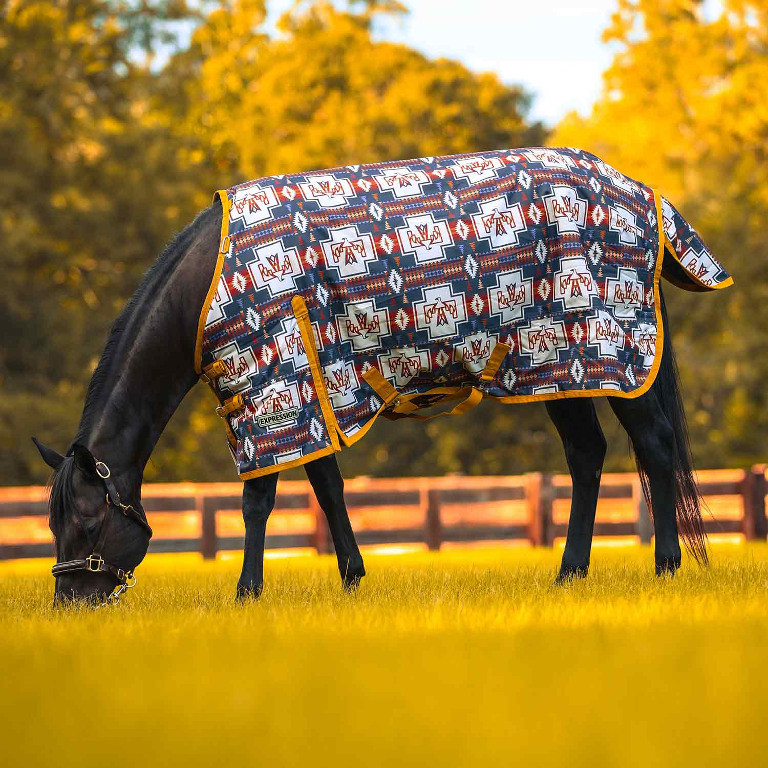 Jeffers Expression 1200 Denier Standard Neck Horse Turnout Sheet, 0 Gram - Pick Your Design!