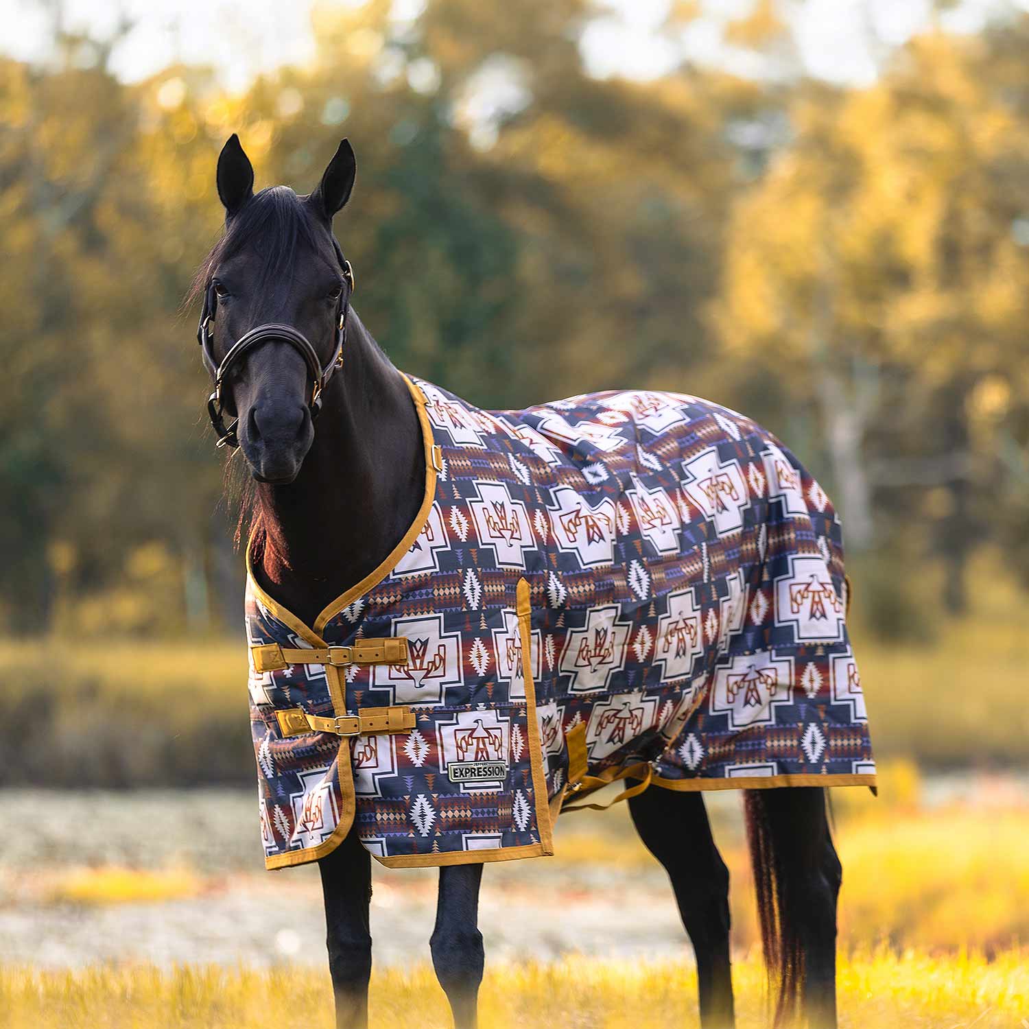 Jeffers Expression 1200 Denier Standard Neck Horse Turnout Sheet, 0 Gram - Pick Your Design!