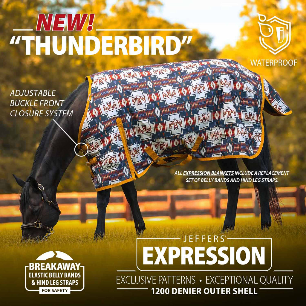 Jeffers Expression 1200 Denier Standard Neck Turnout Horse Blanket, 240 Gram - Pick Your Design!