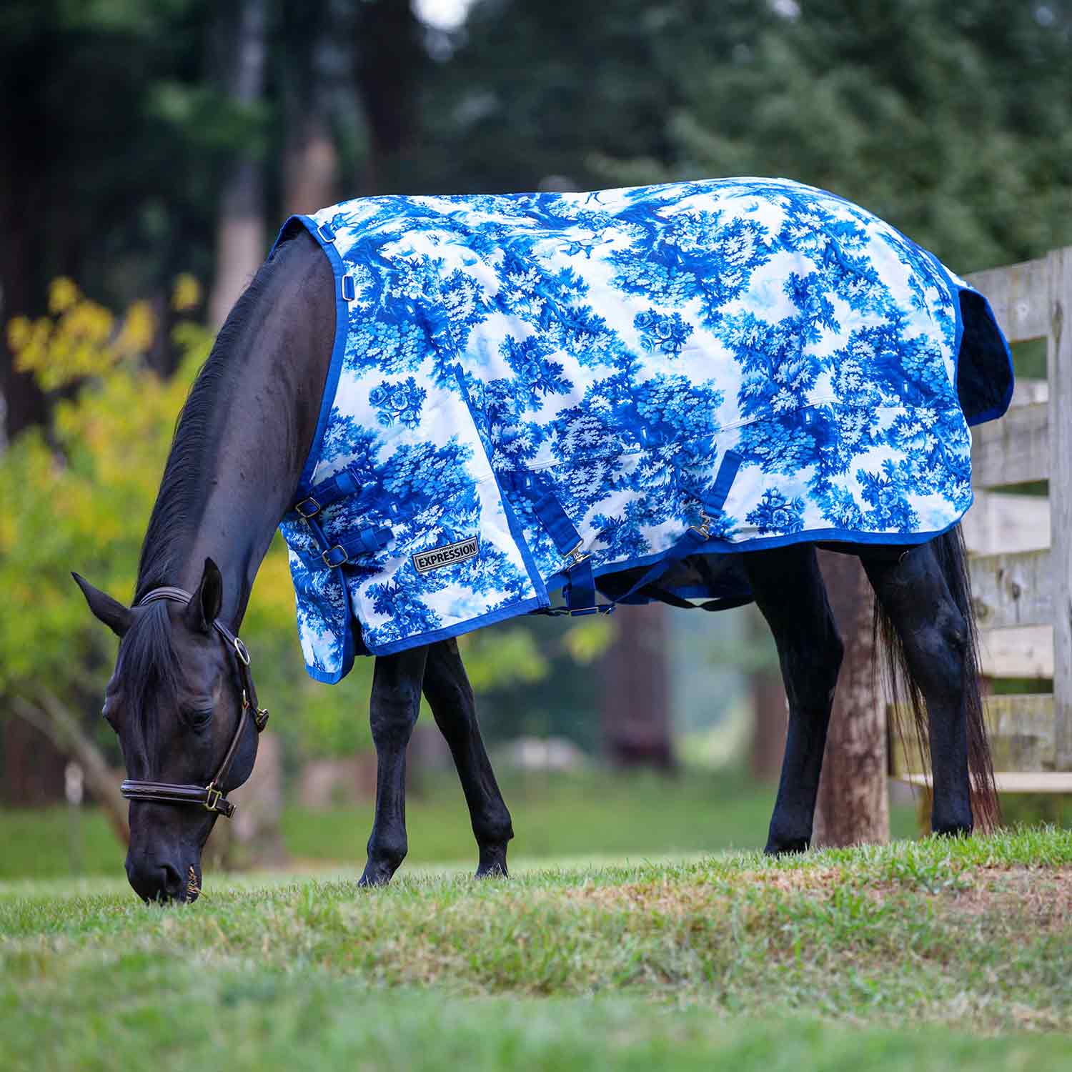 Jeffers Expression 1200 Denier Standard Neck Horse Turnout Sheet, 0 Gram - Pick Your Design!
