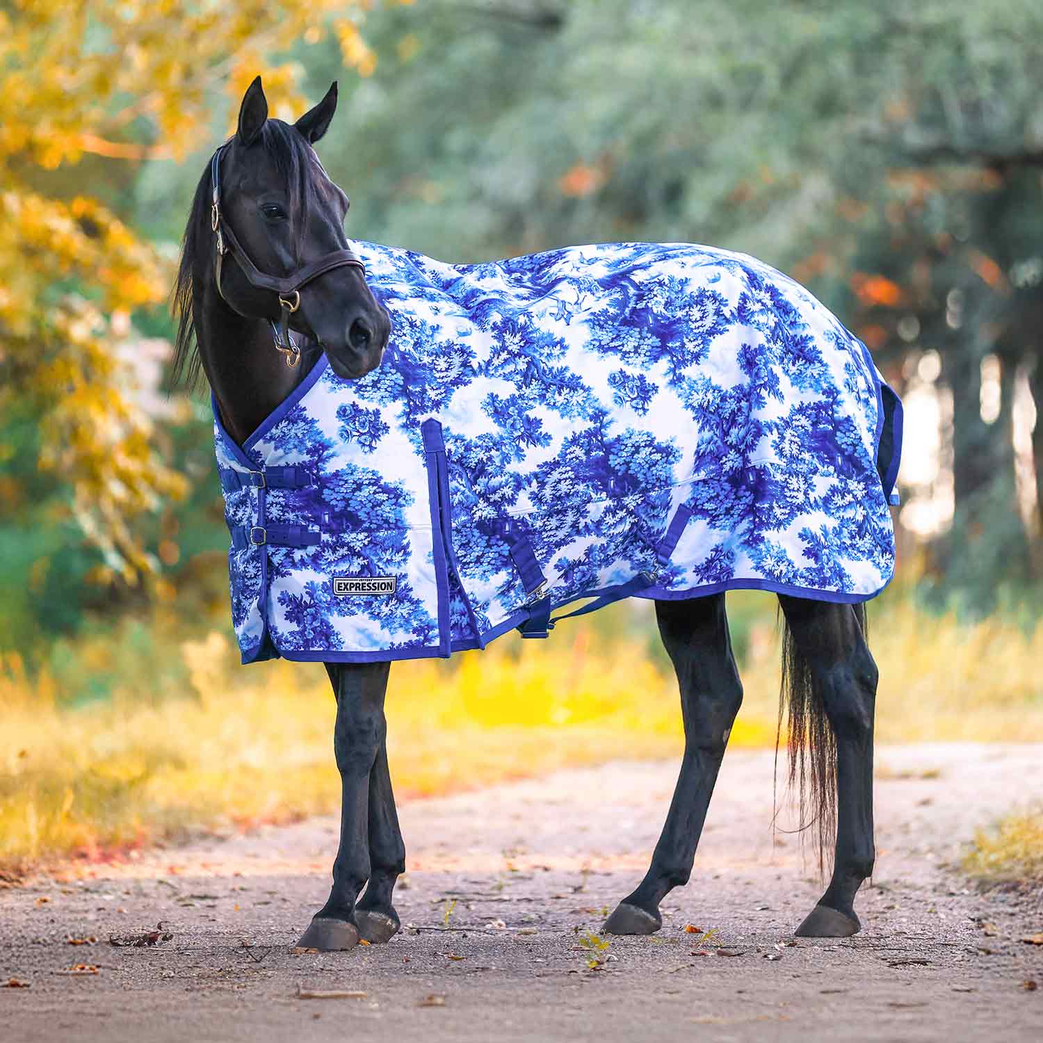 Jeffers Expression 1200 Denier Standard Neck Horse Turnout Sheet, 0 Gram - Pick Your Design!