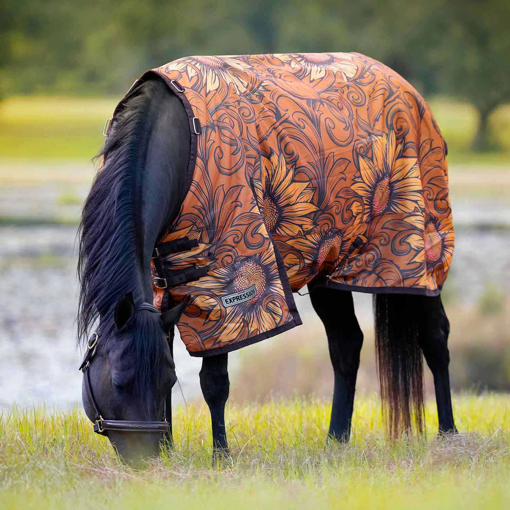 Jeffers Expression 1200 Denier Standard Neck Turnout Horse Blanket, 240 Gram - Pick Your Design!