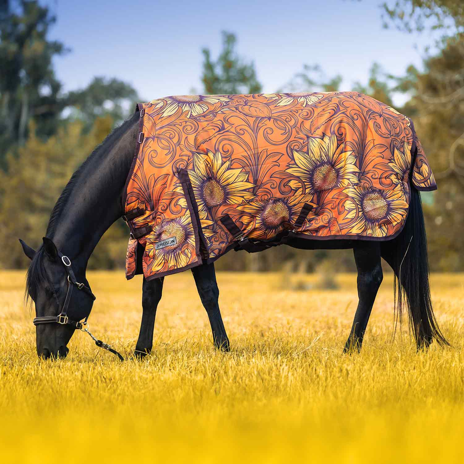 Jeffers Expression 1200 Denier Standard Neck Horse Turnout Sheet, 0 Gram - Pick Your Design!