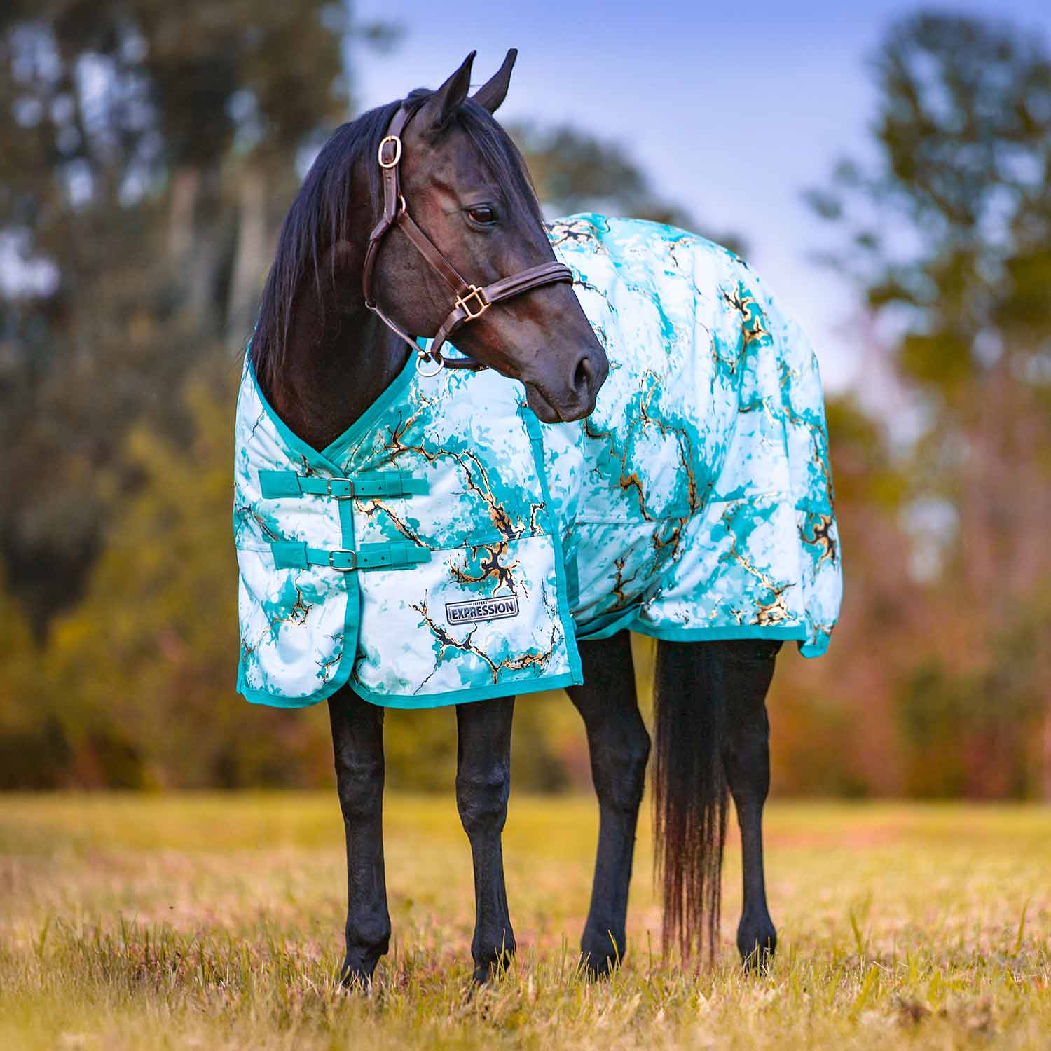 Jeffers Expression 1200 Denier Standard Neck Turnout Horse Blanket, 240 Gram - Pick Your Design!
