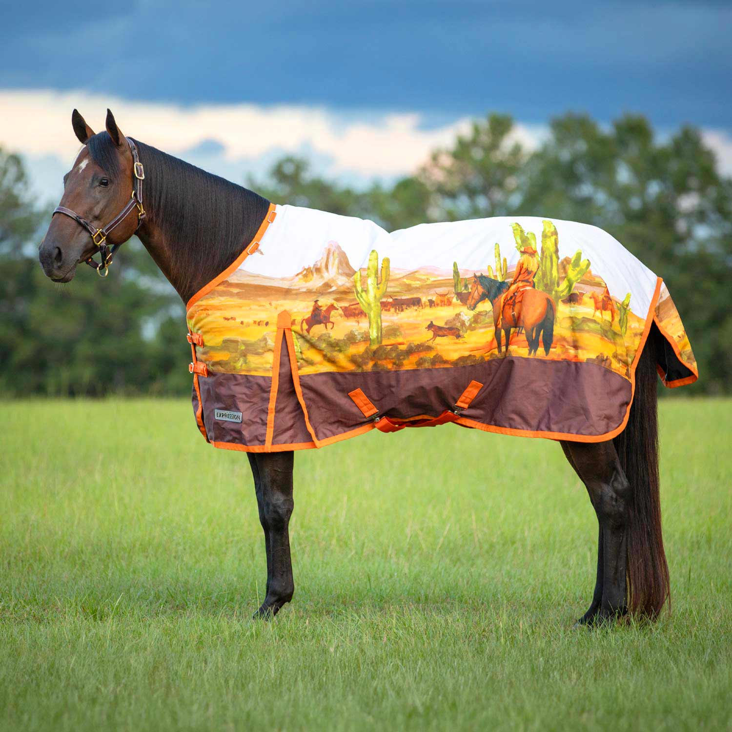Jeffers Expression 1200 Denier Standard Neck Horse Turnout Sheet, 0 Gram - Pick Your Design!