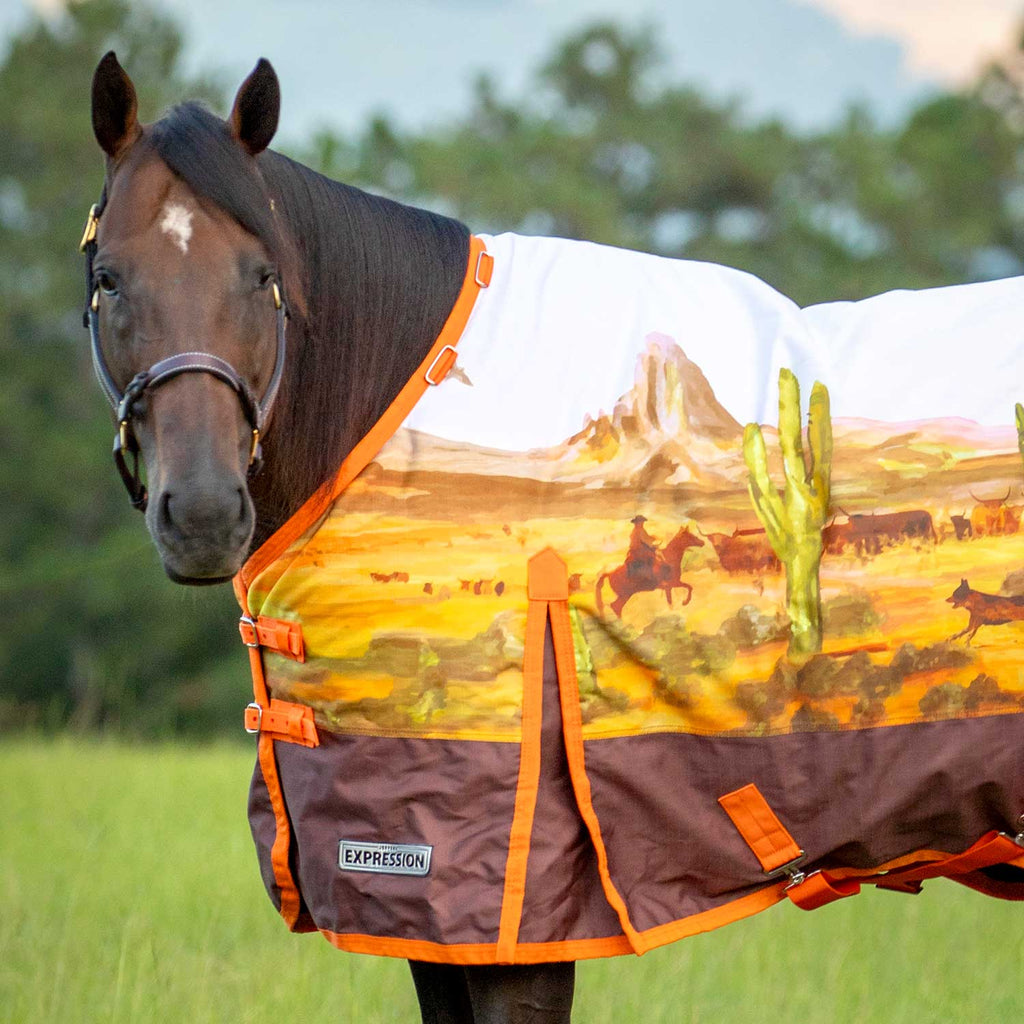 Jeffers Expression 1200 Denier Standard Neck Horse Turnout Sheet, 0 Gram - Pick Your Design!