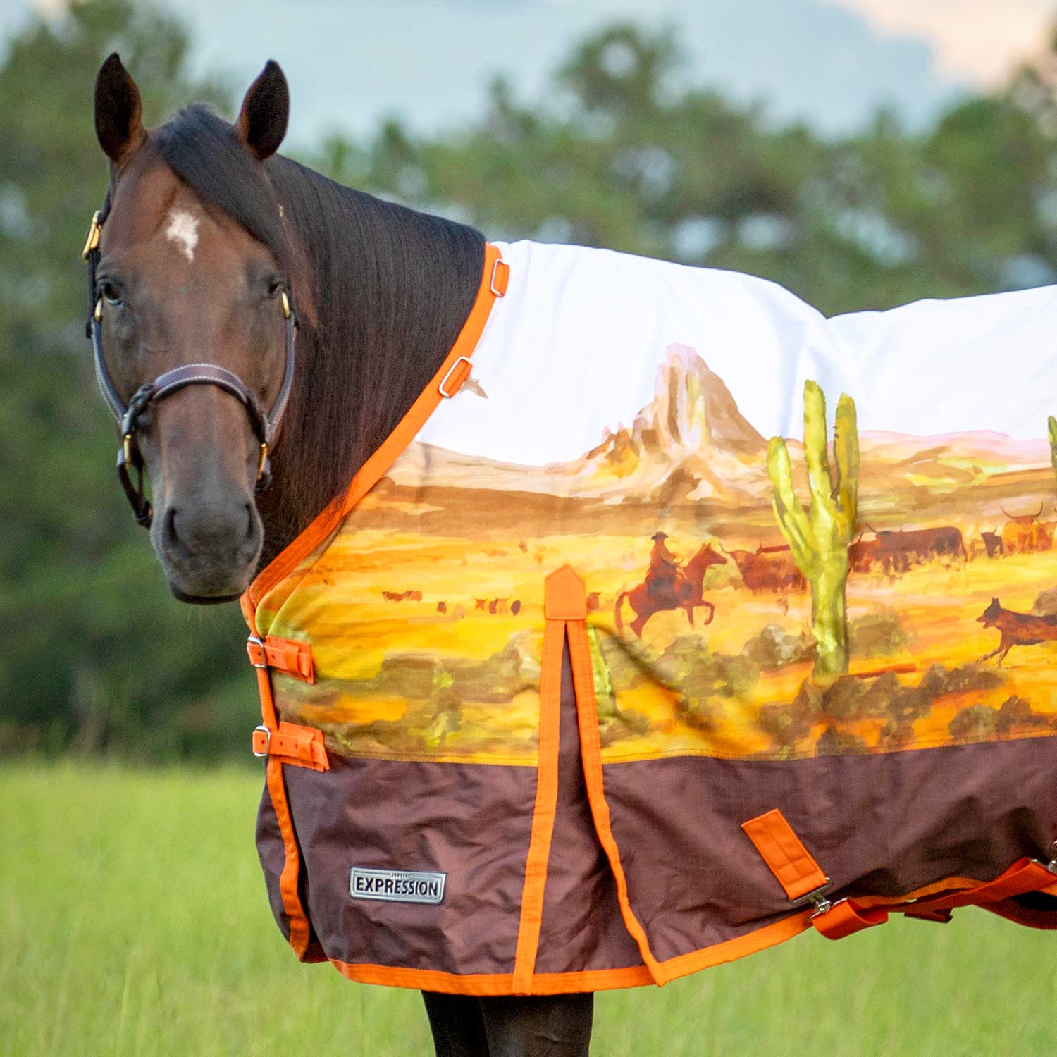 Jeffers Expression 1200 Denier Standard Neck Horse Turnout Sheet, 0 Gram - Pick Your Design!