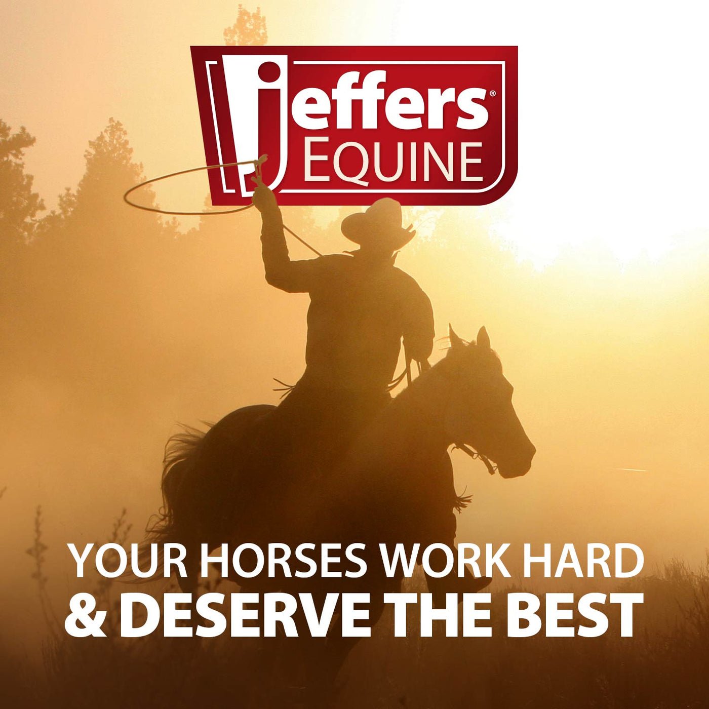 Jeffers Expression Equestrian Gear Bag - Pick Your Design!