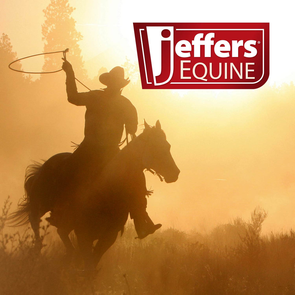 Jeffers Expression Horse Fan Bag - Pick Your Design!