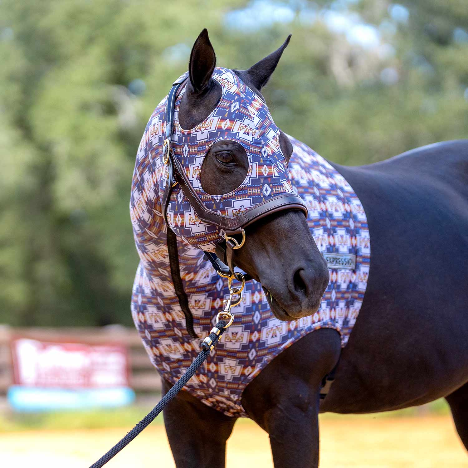 Jeffers Expression Lycra Hood for Horses - Multi Colors!