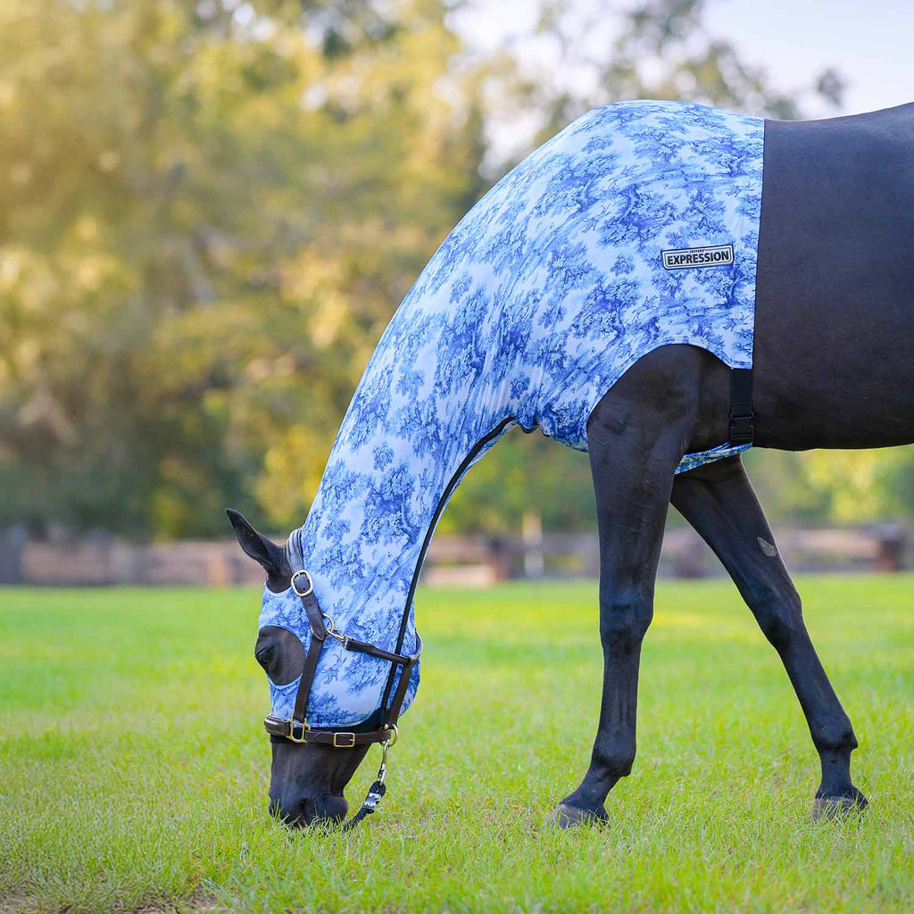 Jeffers Expression Lycra Hood for Horses - Multi Colors!