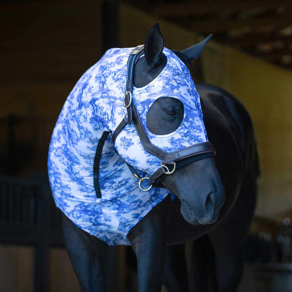 Jeffers Expression Lycra Hood for Horses - Multi Colors!