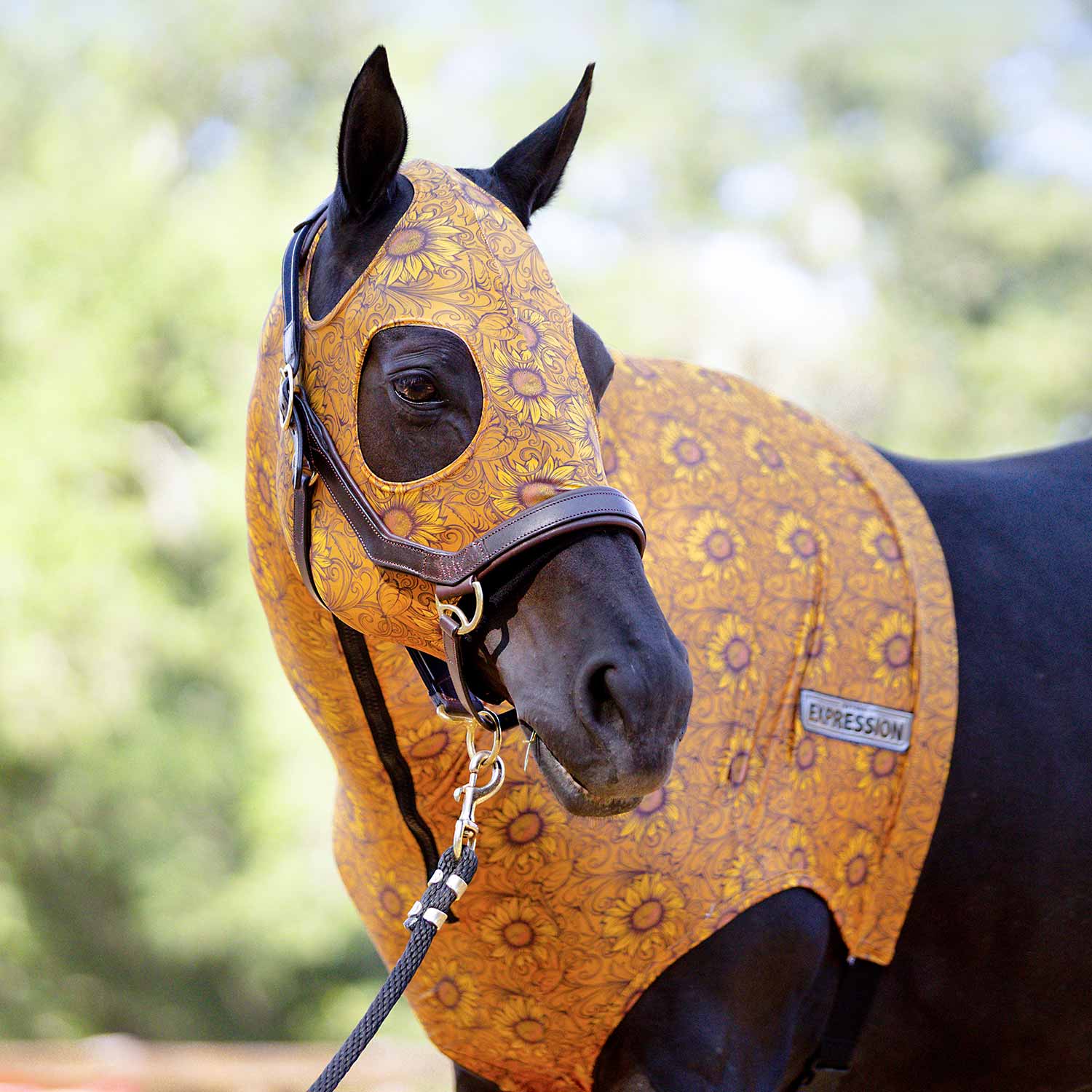 Jeffers Expression Lycra Hood for Horses - Multi Colors!