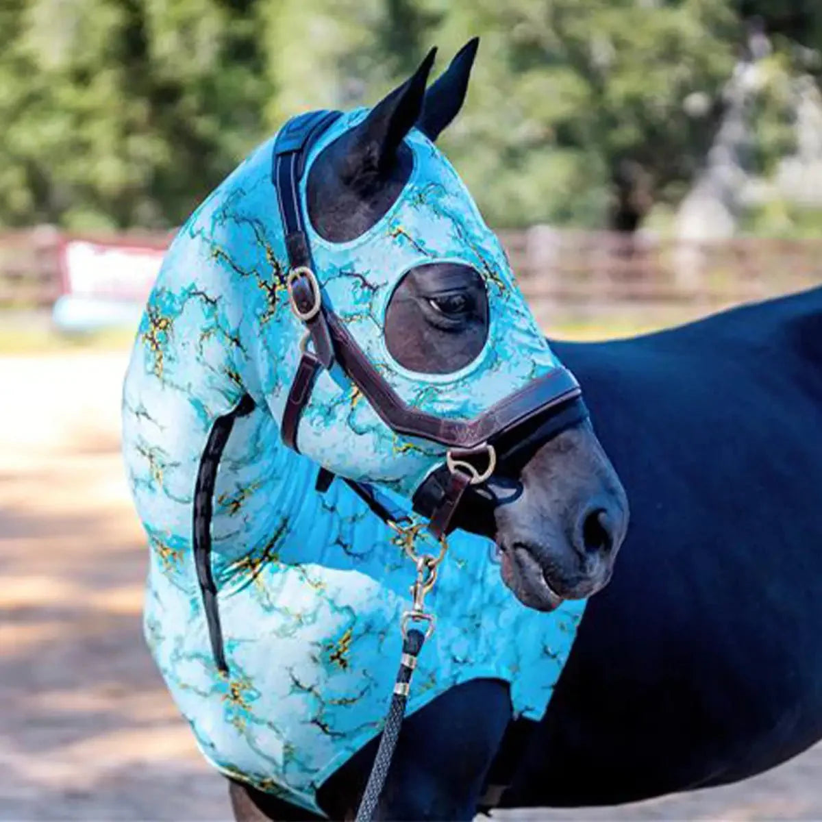 Jeffers Expression Lycra Hood for Horses - Multi Colors!