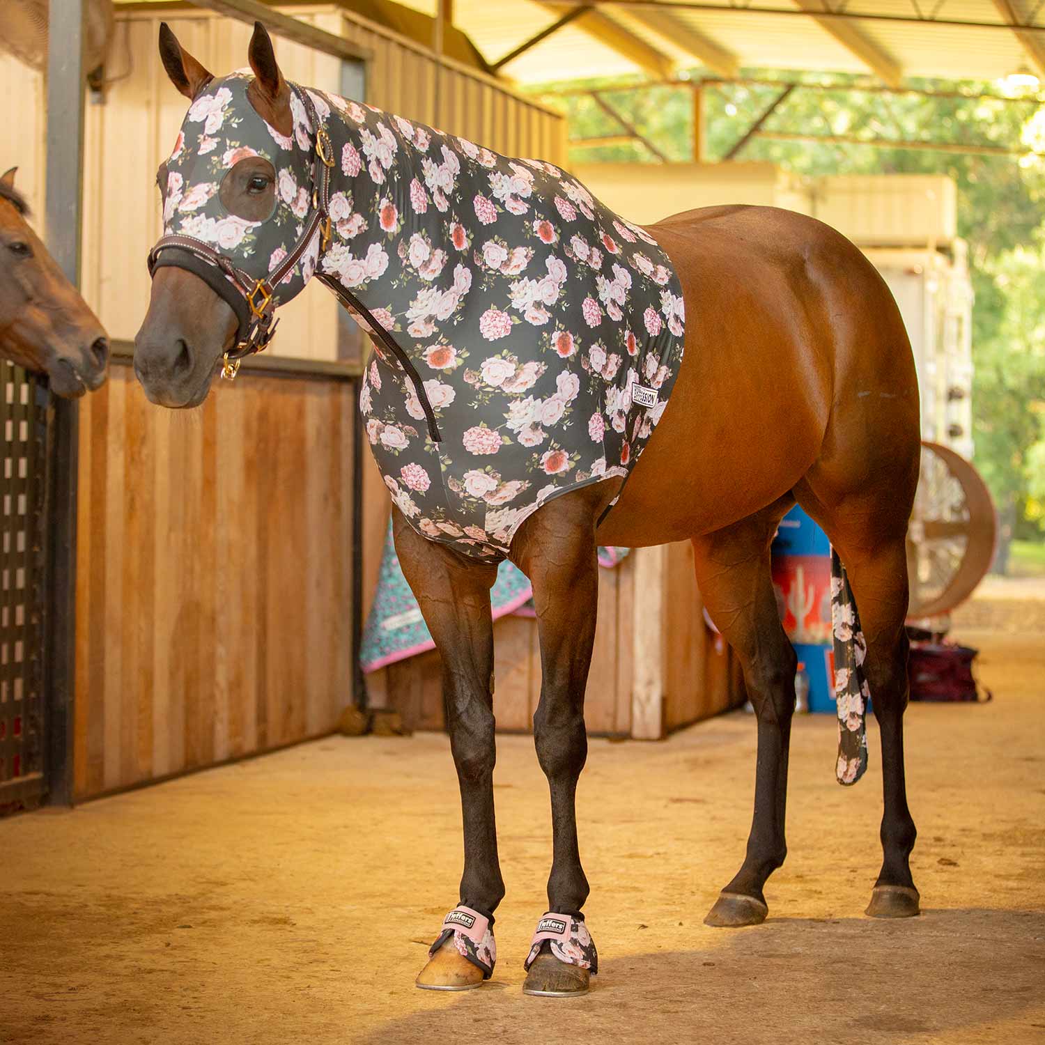Jeffers Expression Lycra Hood for Horses - Multi Colors!