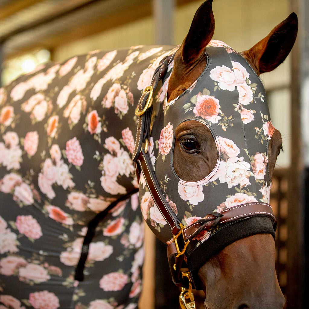 Jeffers Expression Lycra Hood for Horses - Multi Colors!