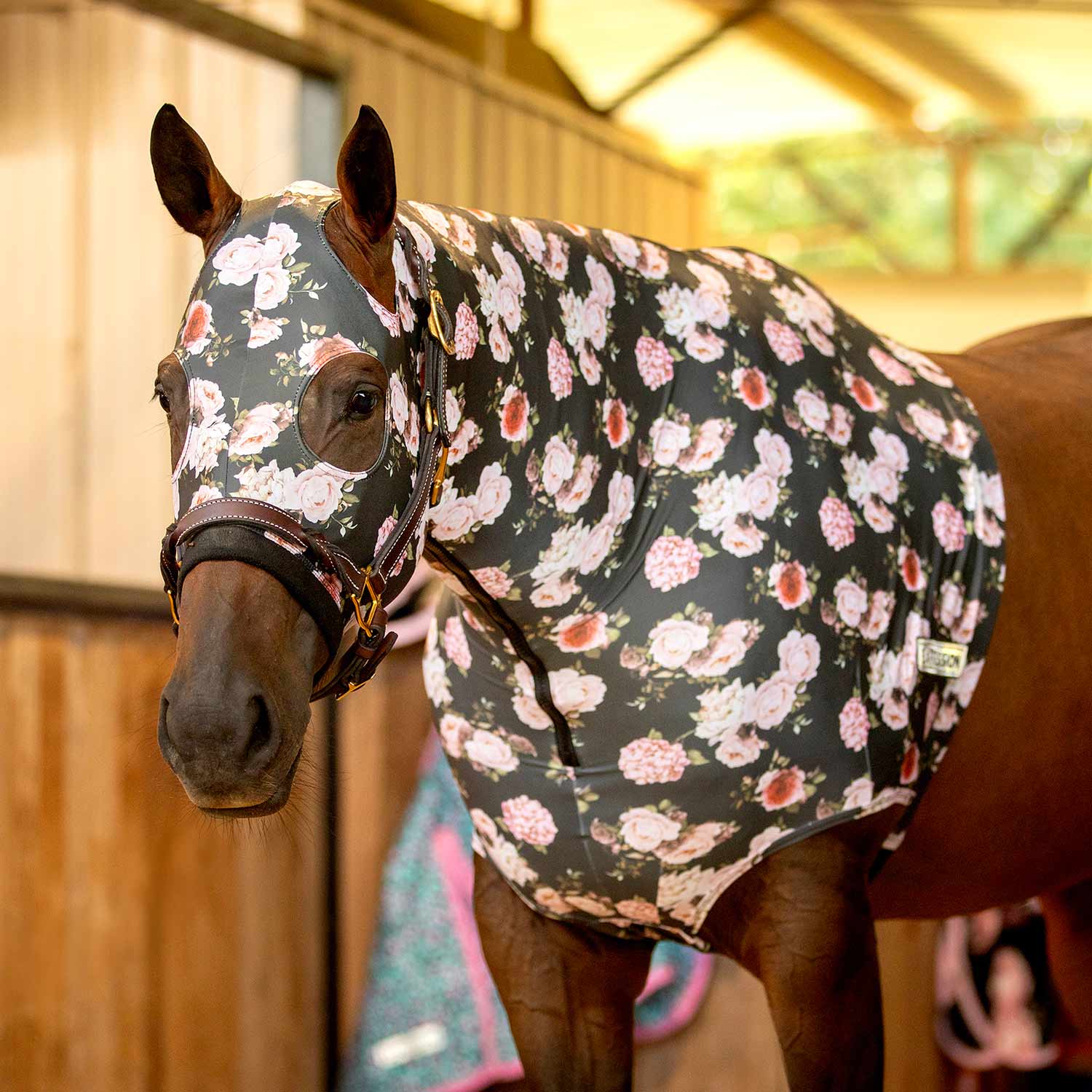 Jeffers Expression Lycra Hood for Horses - Multi Colors!
