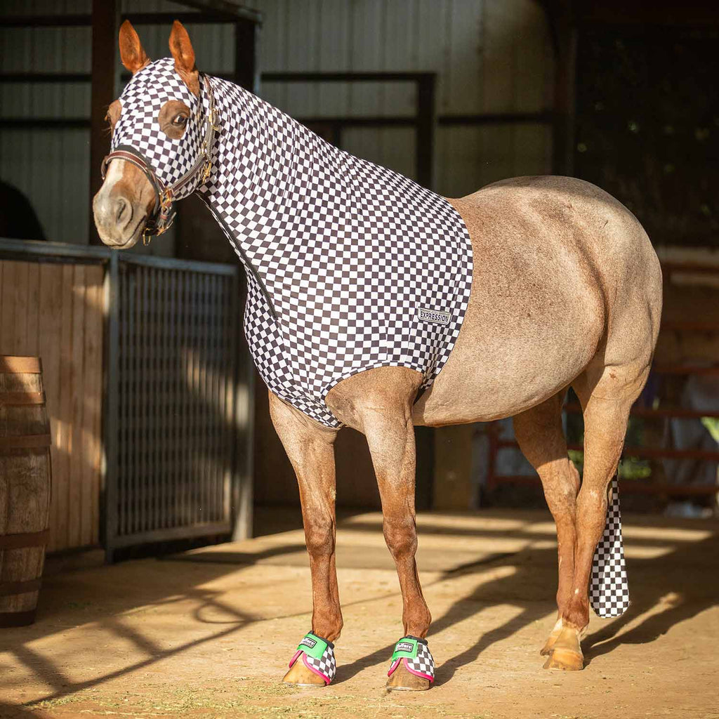 Jeffers Expression Lycra Hood for Horses - Multi Colors!