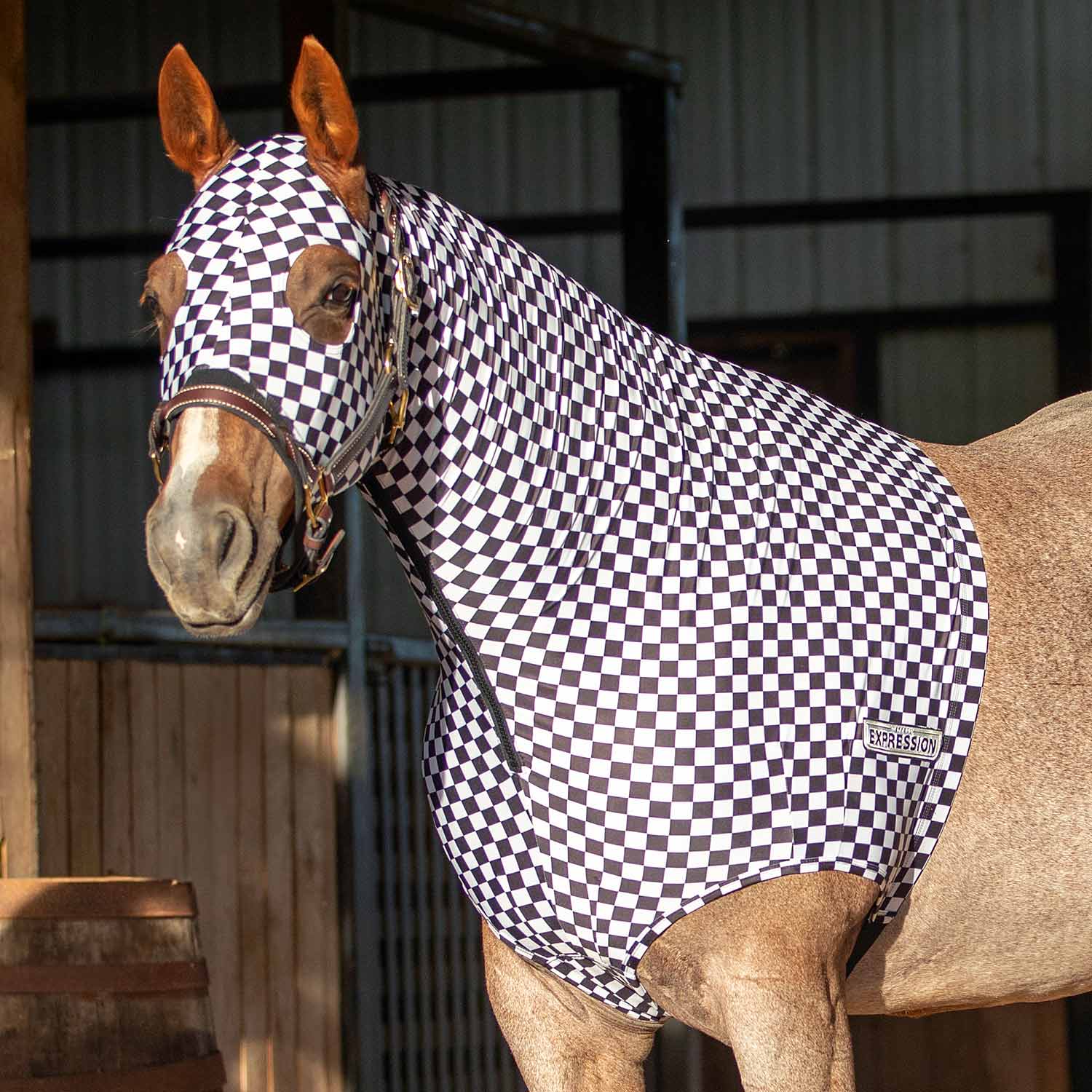Jeffers Expression Lycra Hood for Horses - Multi Colors!