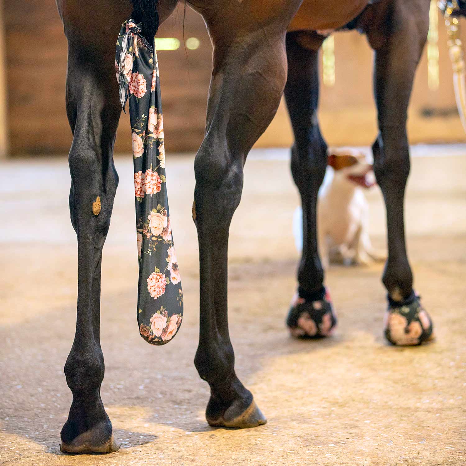 Jeffers Expression Lycra Horse Tail Bag, 24"L - Pick Your Design!