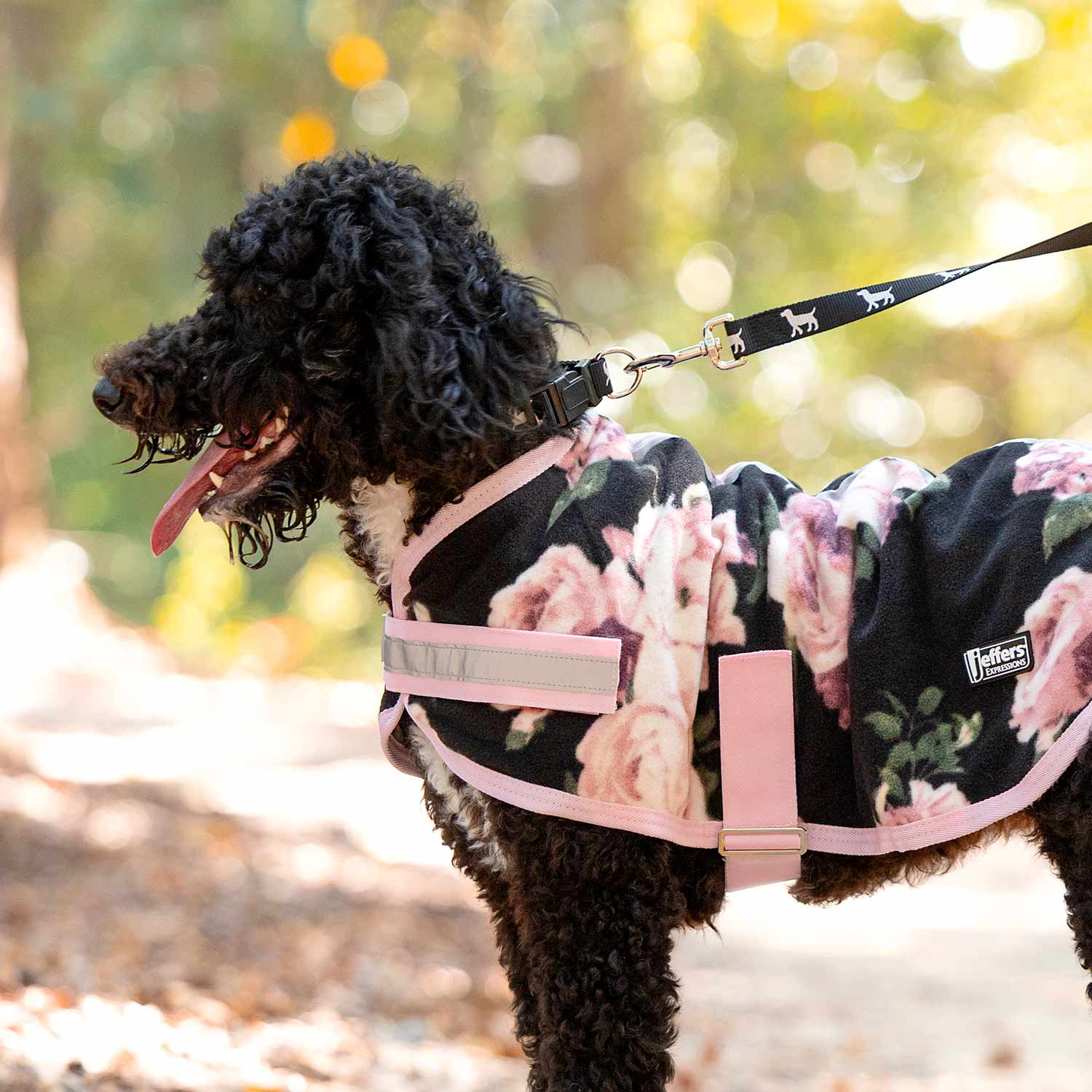Jeffers Expression Moisture-Wicking Fleece Dog Coat - Pick Your Design!