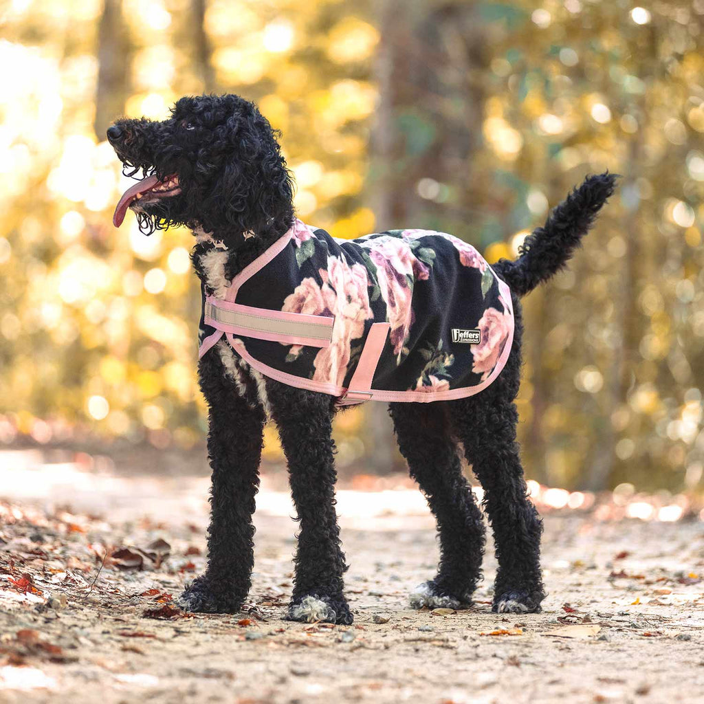 Jeffers Expression Moisture-Wicking Fleece Dog Coat - Pick Your Design!