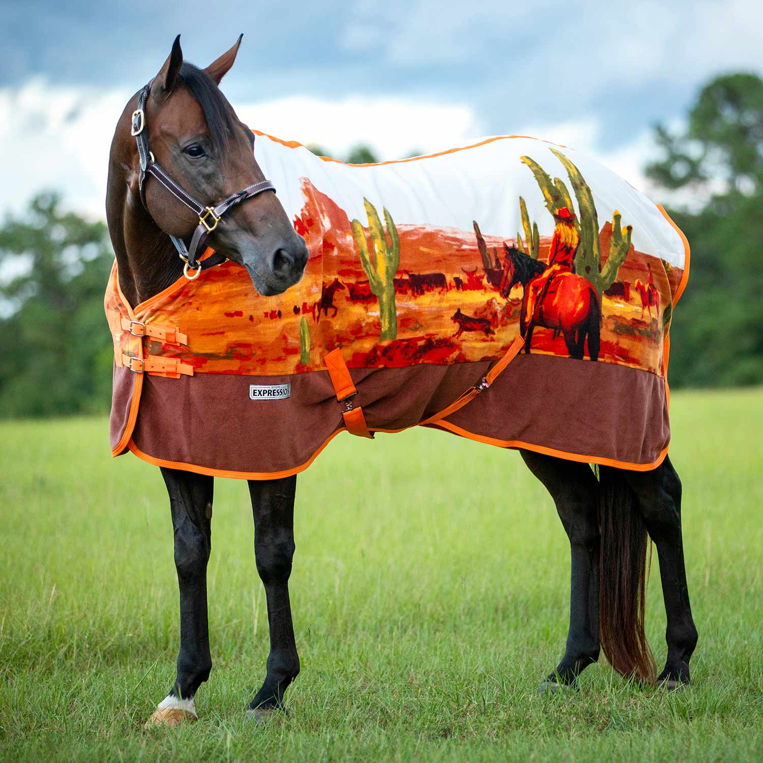 Jeffers Expression Standard Neck Fleece Horse Cooler - Pick Your Design!